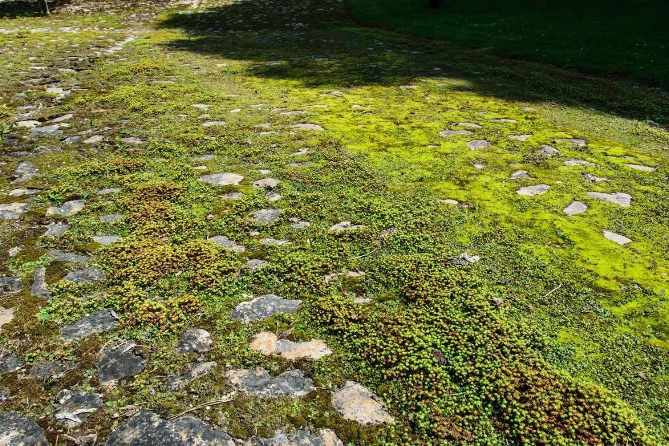 Rittergut/Gutshaus Grossgestewitz Naumburg  Buitenkant foto
